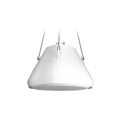 Speco SP-30PT 30 Watt RMS 5.25" Pendant Speaker & Chain