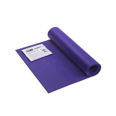 GoFit Yoga Mat w/Yoga Posture Poster